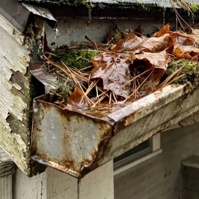 Gutter Cleaning